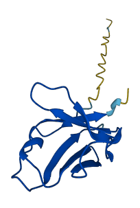 IGLV3-25 3D structure