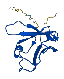 IGLV3-27 3D structure