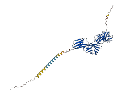 CD4 3D structure