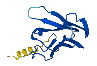 TRBV12-3 3D structure