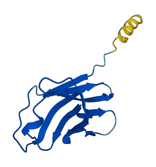 TRAV8-4 3D structure