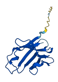IGHV1-69 3D structure
