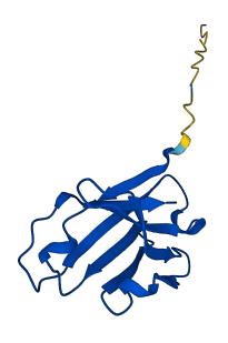 IGHV1-46 3D structure