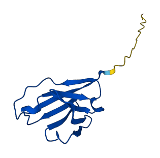 Igh-VJ558 3D structure