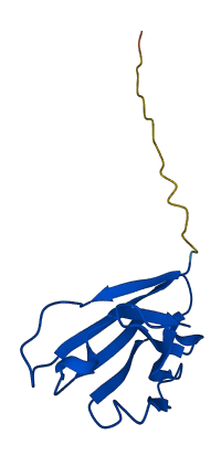 IGHV3-11 3D structure