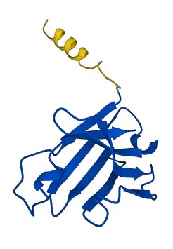 IGHV3-48 3D structure
