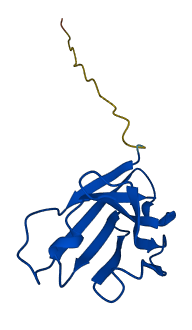 IGHV3-23 3D structure