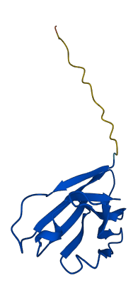 IGHV3-53 3D structure
