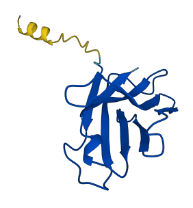 IGHV2-70 3D structure