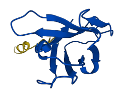 IGHV2-5 3D structure