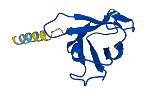 IGHV4-39 3D structure