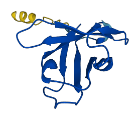IGHV4-59 3D structure