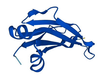 IGKC 3D structure