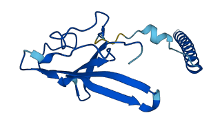 TRAC 3D structure