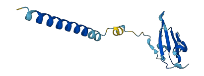 Tcra 3D structure