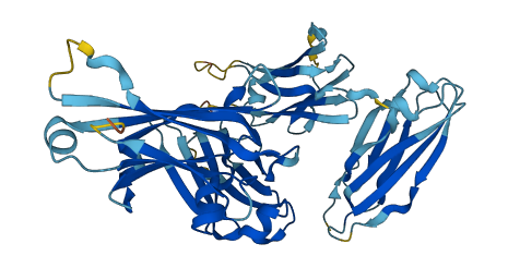 IGHE 3D structure