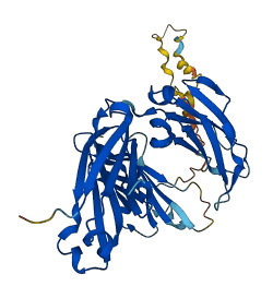 IGHG3 3D structure