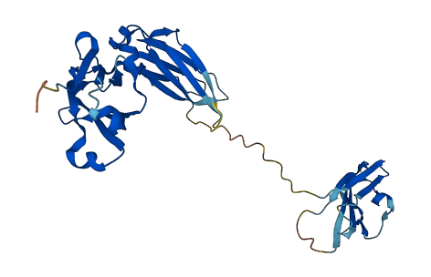 Ighg 3D structure
