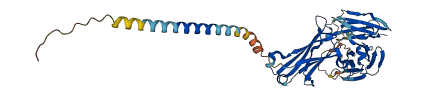 Igh-3 3D structure