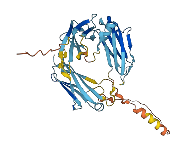 IGHD 3D structure
