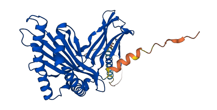 HLA-B 3D structure