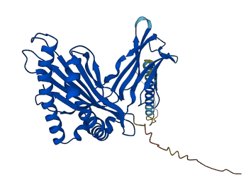 H2-L 3D structure