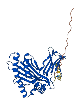 H2-Q10 3D structure