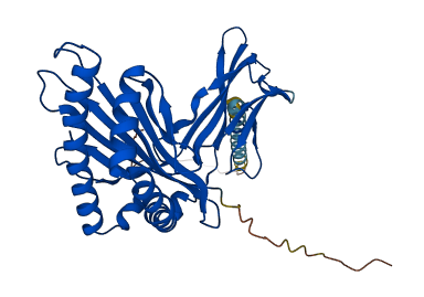 H2-K1 3D structure