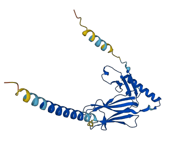 HLA-DRA 3D structure