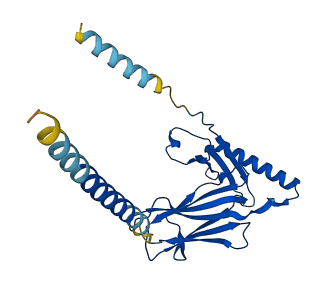 H2-Ea 3D structure