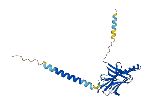 H2-Aa 3D structure