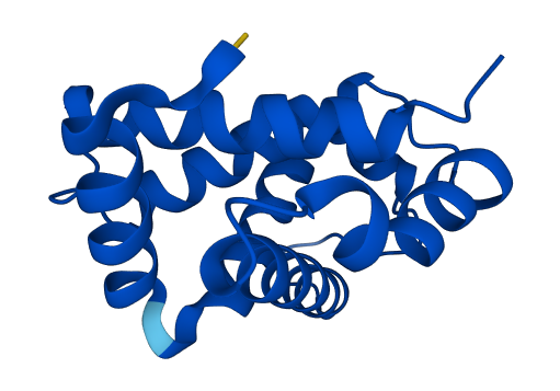Hba 3D structure