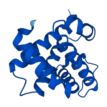 HBZ 3D structure