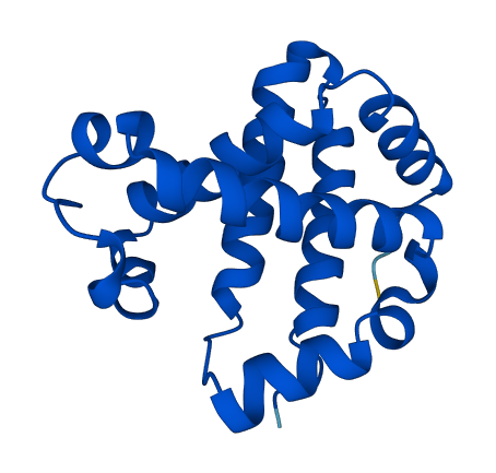 Hbb-b1 3D structure