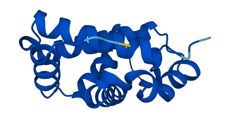 Hbb-b2 3D structure