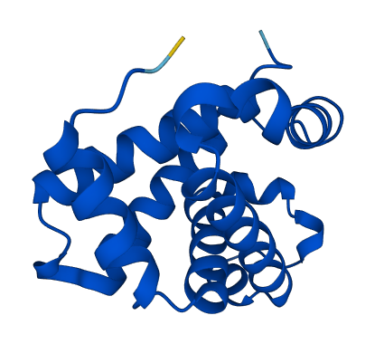 HBE1 3D structure