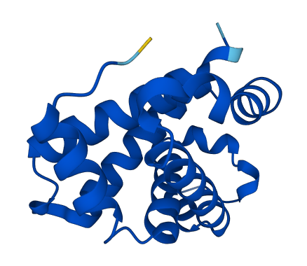 Hbb-y 3D structure