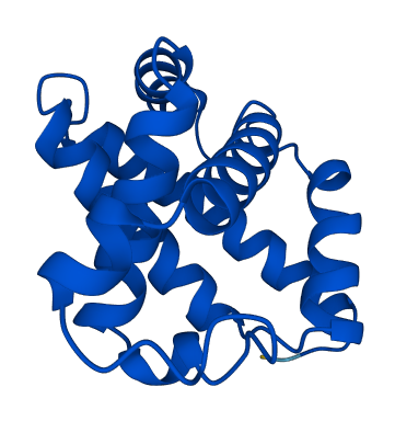 MB 3D structure