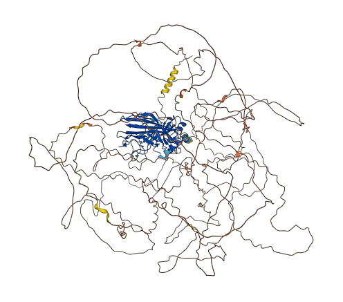 COL2A1 3D structure