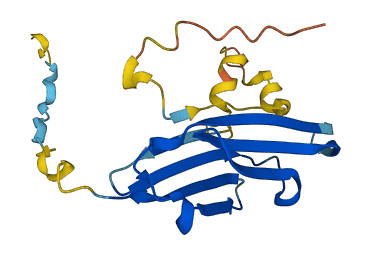 CRYAA 3D structure
