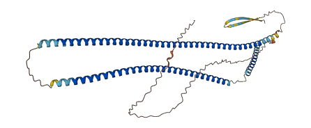 KRT14 3D structure