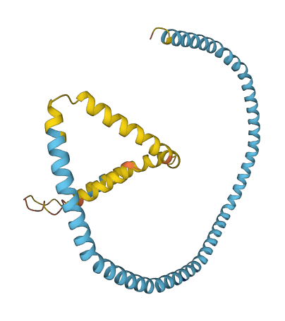 APOA1 3D structure