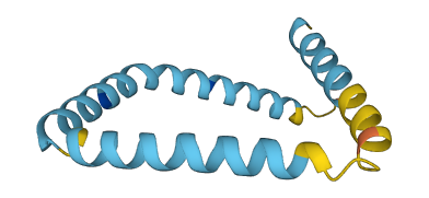 APOA2 3D structure