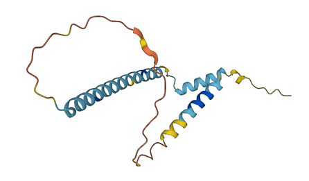 Csn1s2b 3D structure