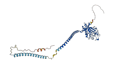 FGG 3D structure