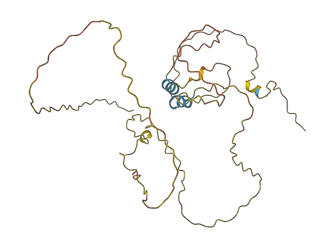 MBP 3D structure