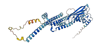 CHRNA1 3D structure