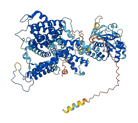 SLC4A1 3D structure