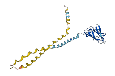 C1QA 3D structure