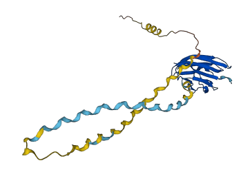 C1QC 3D structure